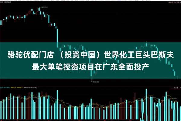 骆驼优配门店 （投资中国）世界化工巨头巴斯夫最大单笔投资项目在广东全面投产